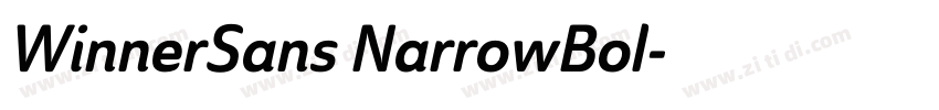 WinnerSans NarrowBol字体转换